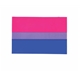 סטיקר דגל הביסקסואלים